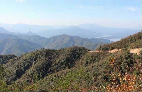 養(yǎng)殖基地